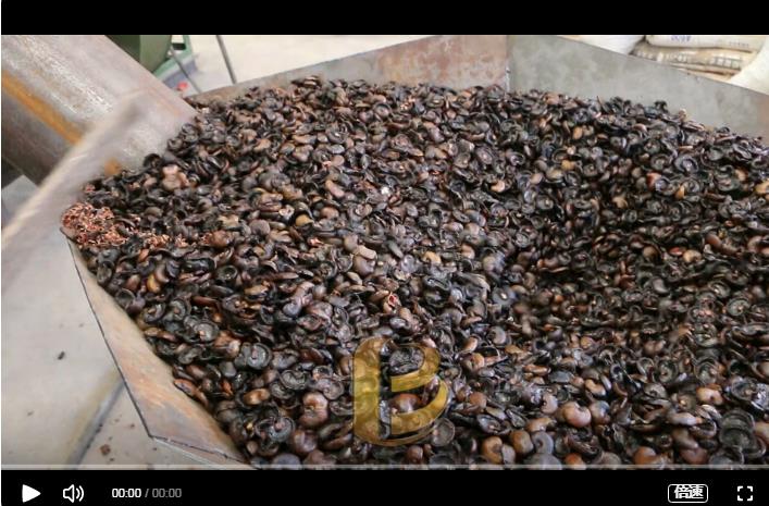 環(huán)保炭化設(shè)備炭化處理腰果外殼增加經(jīng)濟效益